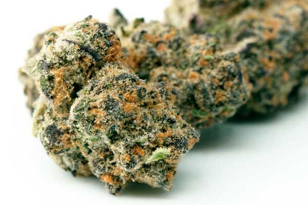 Animal Cookies Cannabis Seeds Review